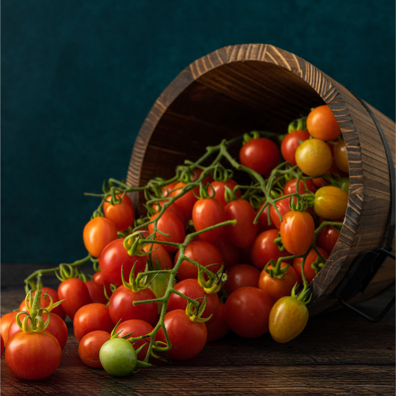 Eingelegtes & Konserven