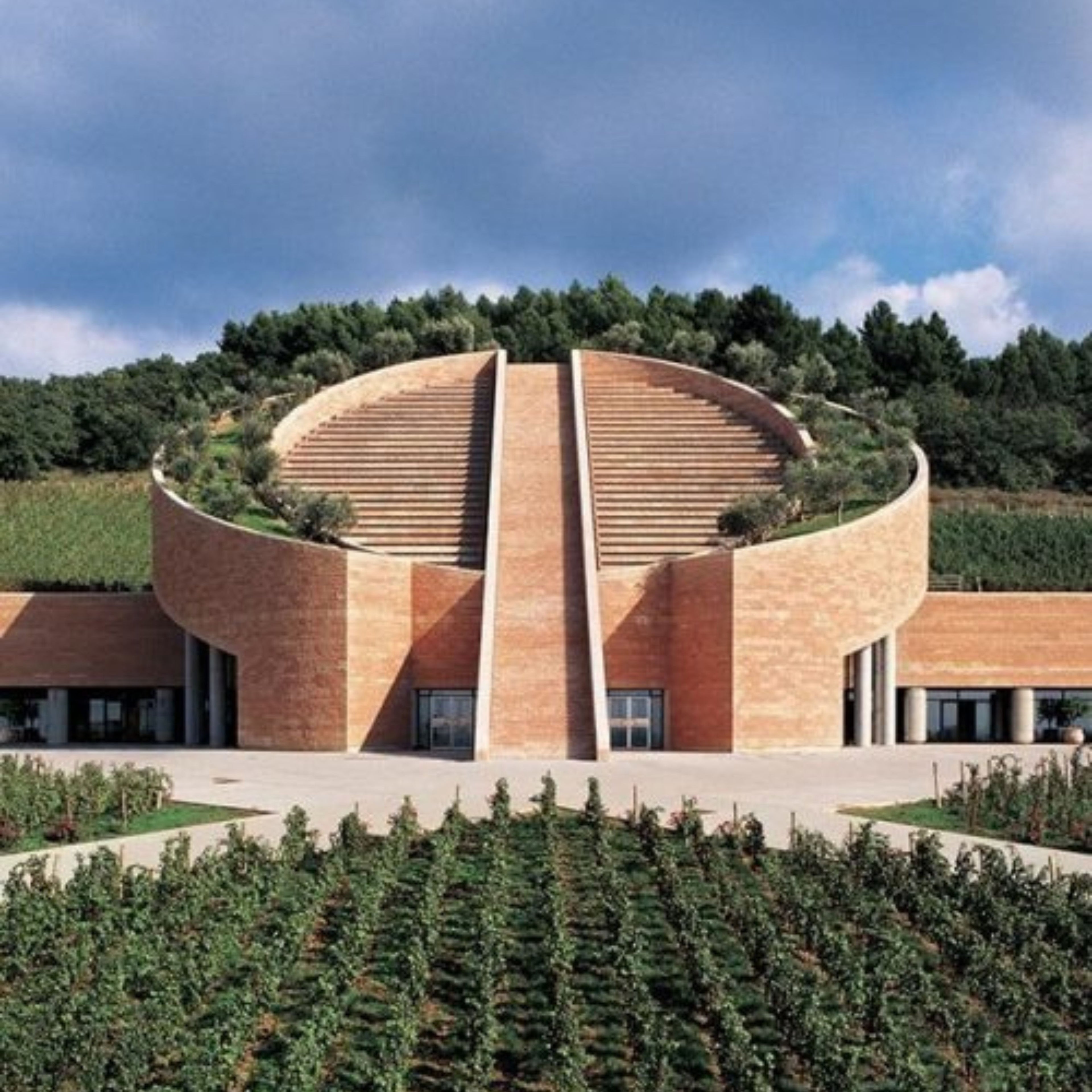 Ansonica – Toscana IGT Weißwein - 750 ml - Petra