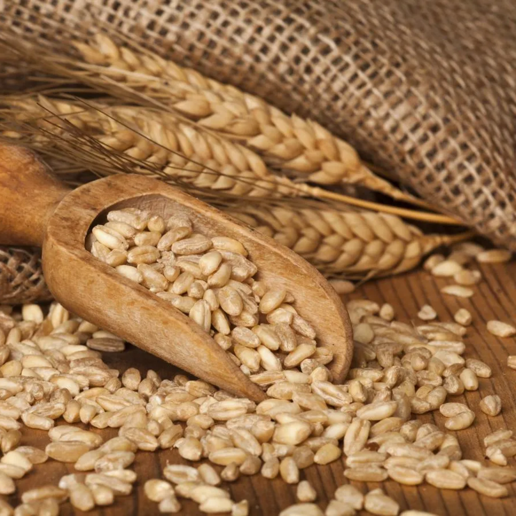 Einkorn ganzes korn bio – geschälter urweizen, 400 g