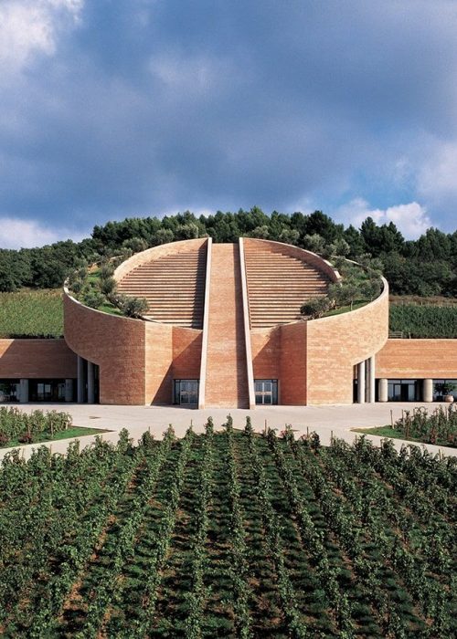 Belvento Viognier – Toscana IGT Weißwein, 750 ml - Petra