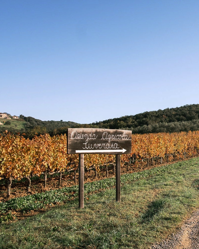 Nerì – Rosé Perlwein - 750 ml - Suveraia