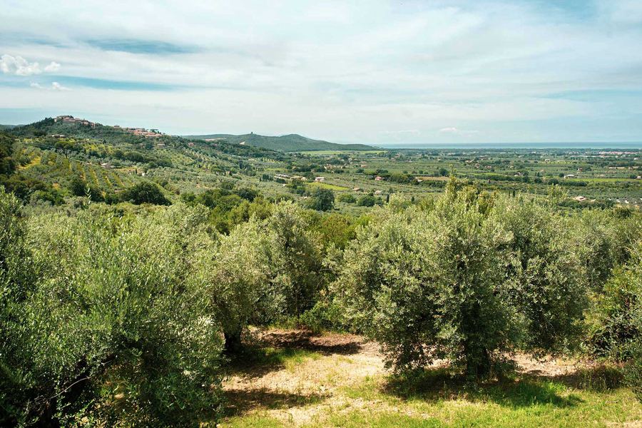 Fonte di Foiano, Castagneto Carducci, Bolgheri