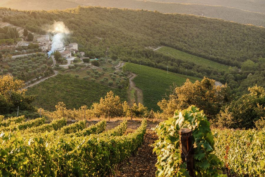 Monteraponi, Radda in Chianti