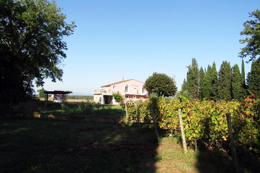 Podere Ricciolino, Bolgheri