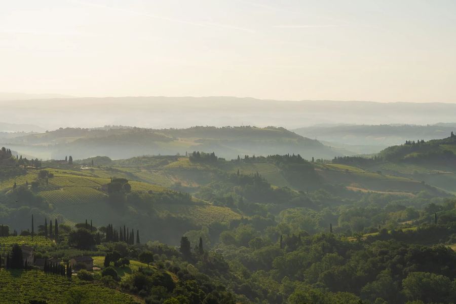 Teruzzi, San Gimignano